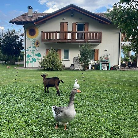 Agriturismo Girasole Fai della Paganella Exterior photo